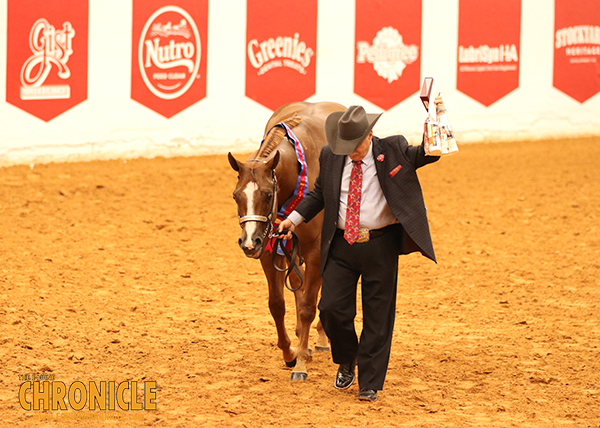Morning Champions at APHA World Include Cassata, Baerg, Page, and More