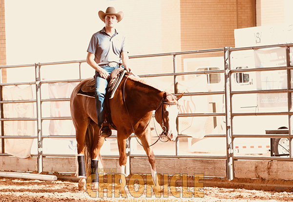 EC TV- 2019 APHA World- Relive the Memories