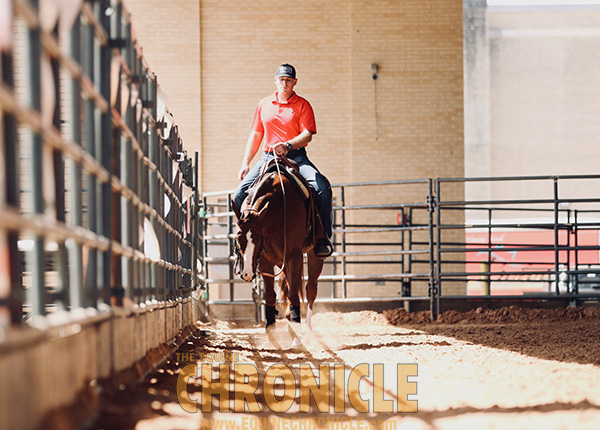 Final Around the Ring Photos- 2019 APHA World Show