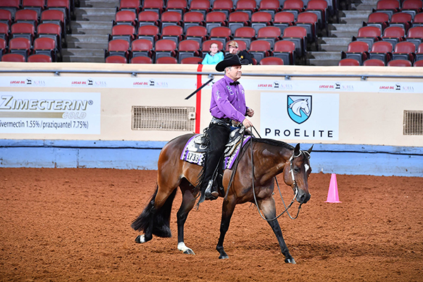 Level 2 Ineligibility List For 2019 AQHA World Show