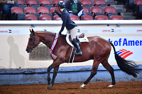 Enter AQHA World Show by Sept. 16th