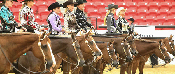 AQHA West Level 1 Championships Ride The Pattern Clinicians- Kail, Guynn, Renfro, Daurio