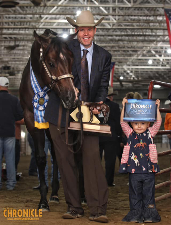 2019 QH Congress- Amateur Stallions