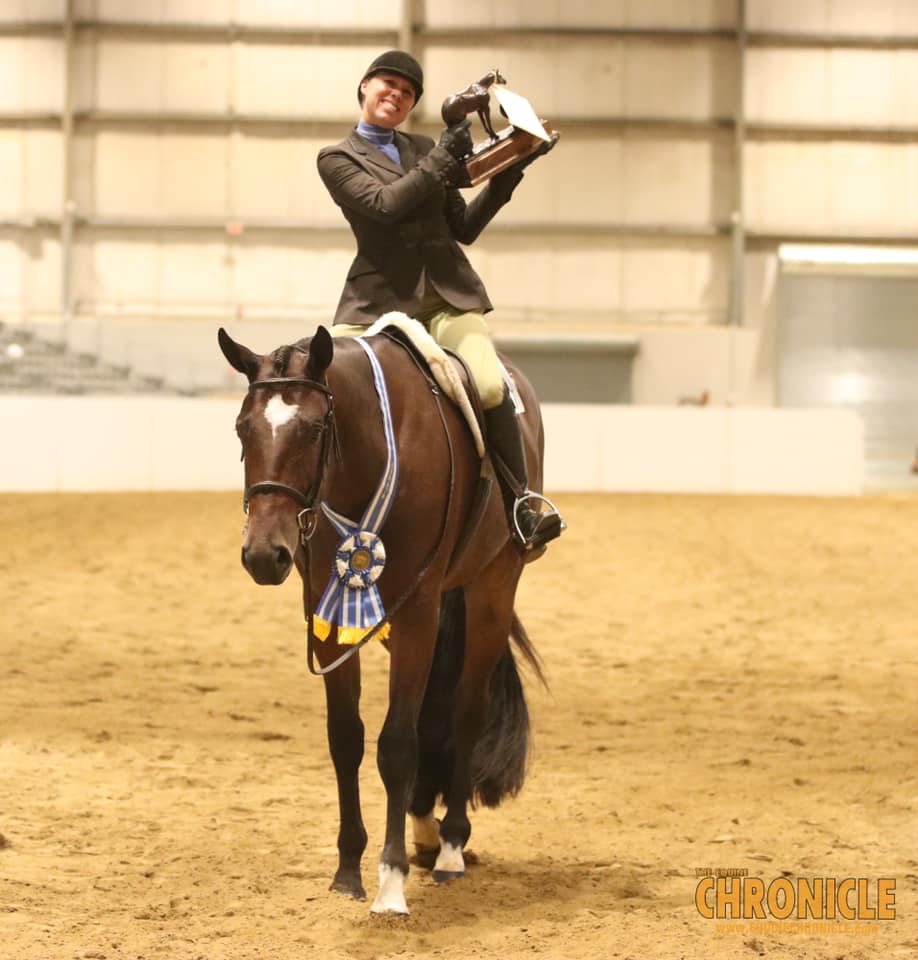 2019 QH Congress- Level 1 Hunter Under Saddle