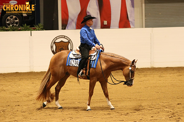 EC TV- 2019 QH Congress- Masters 2-Year-Old Western Pleasure