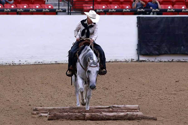 AQHA West Level 1 Championship Wrap Up