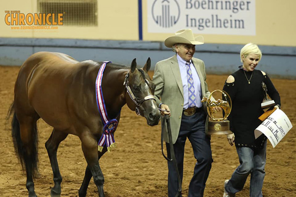 2019 AQHA World- Performance Mares