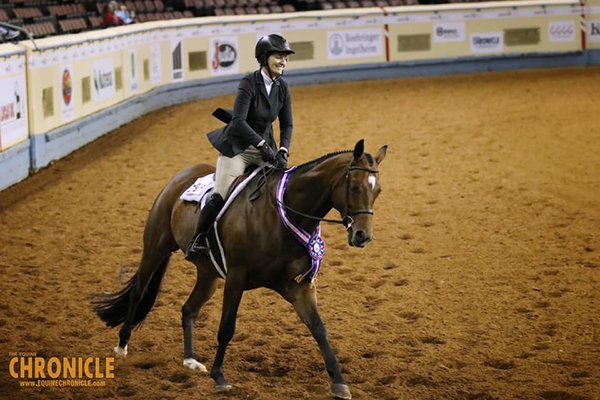 2019 AQHA World- Senior Hunter Hack