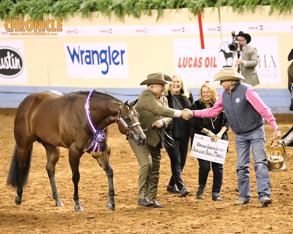 Halter AQHA World Champions Include Cole, English, Jensen, Alderson, Reeder