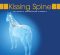 Kissing Spine: No Longer a Career Ending Diagnosis Kissing Spine: No Longer a Career Ending Diagnosis