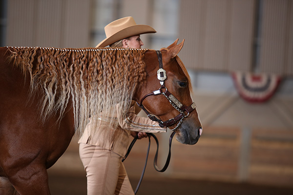 EC Photo of the Day- Mane Envy!