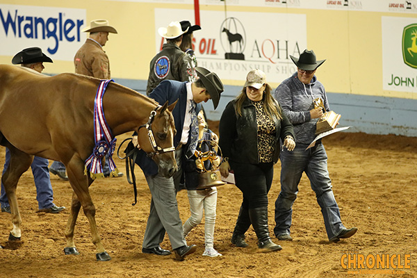 Halter AQHA World Champions Include Donnelly, Erhardt, Cook, West, Weakly, Williams