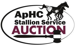 SSA Two-Year-Old Incentive Classes at 2020 World Championship Appaloosa Show