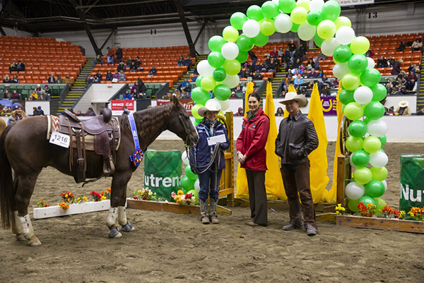 American Quarter Horse Wins Versatile Horse & Rider Competition at Equine Affaire
