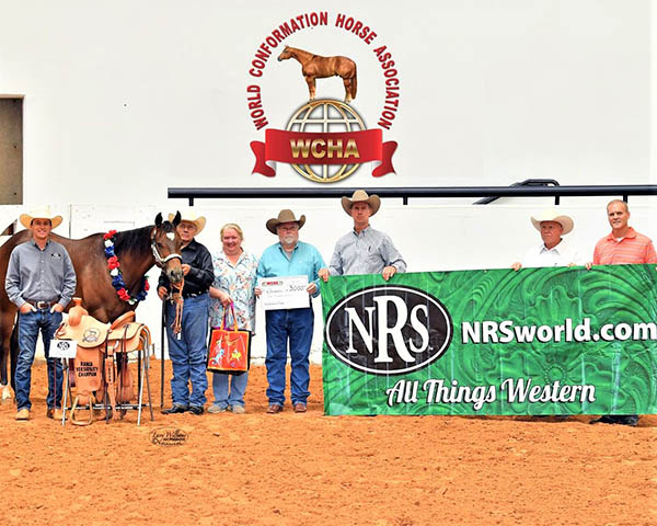 WCHA Versatility Ranch Horse 2-Year-Old Prospect Results
