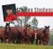 Stephen Stephens: A passion for Horses drives him to the top Stephen Stephens: A passion for Horses drives him to the top