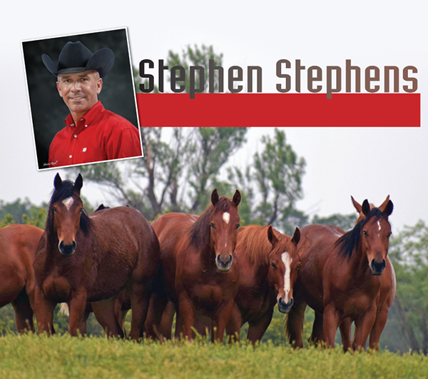 Stephen Stephens: A passion for Horses drives him to the top