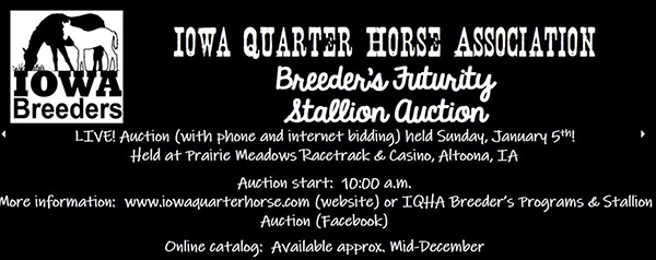 Catalog Now Available For IQHA Breeders’ Futurity Auction