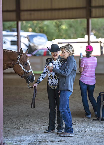 Results- Fox Lea Farm Circuit and NSBA FITS- 1/9