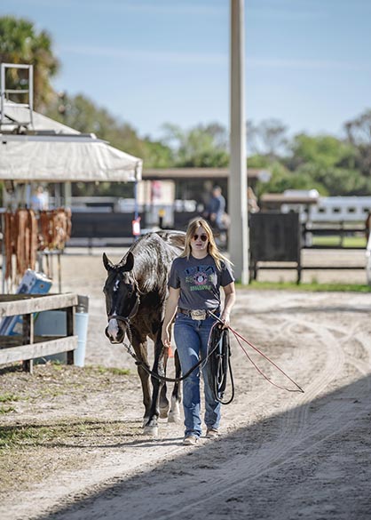 Results- Fox Lea Farm, NSBA FITS- 1/11