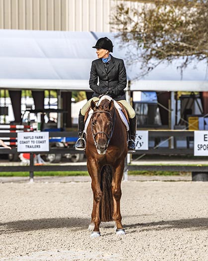 Final Results and High Point For Fox Lea Farm/NSBA FITS