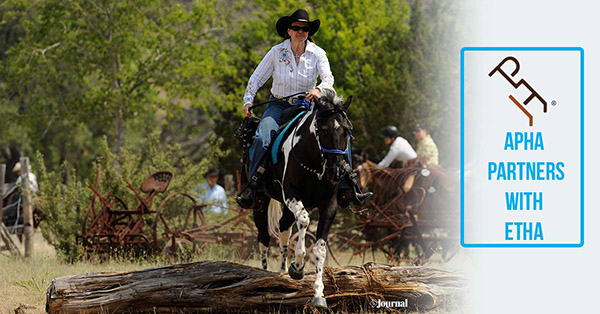 APHA and Extreme Trail Horse Association Announce Alliance