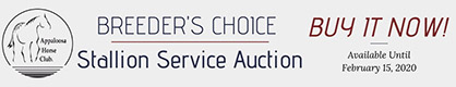 ApHC Stallion Service Auction Open Until Feb 15th