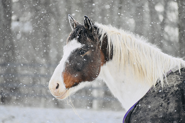 EC Photo of the Day- Snow Day!