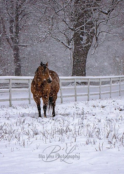 EC Photo of the Day- It’s Still Winter!