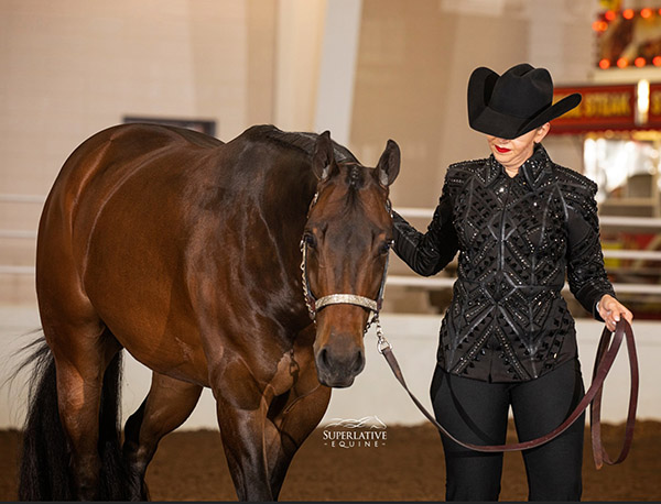 Around the Ring Photos and Results- APHA Zone 9 Southern Classic