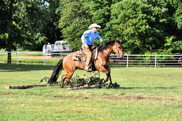 Feeling Ranchy? Qualify For AQHA VRH World by Feb. 29th