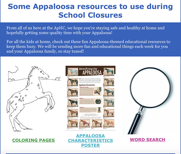 Appaloosa Activities For Kids During School Closures