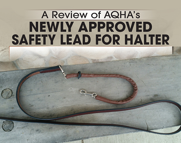 Review of AQHA’s Newly Approved Safety Lead for Halter