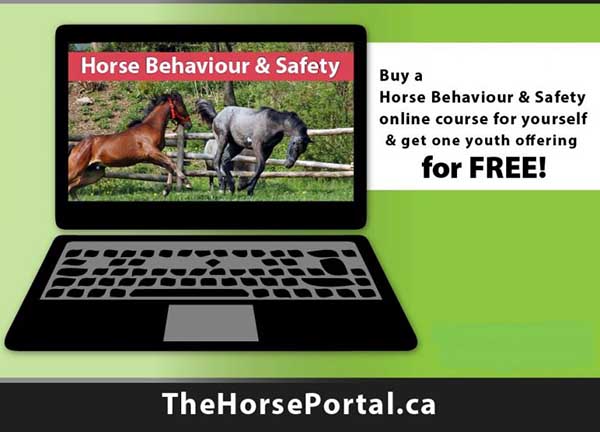 University of Guelph Offers ONLINE Horse Behavior and Safety Course for Youth and Adults