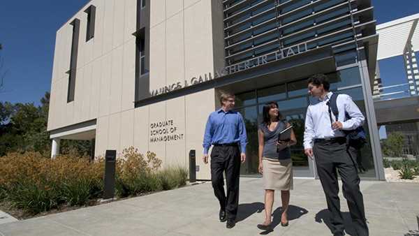 UC Davis Announces Two Summer Programs- Vet Business and Entrepreneurship