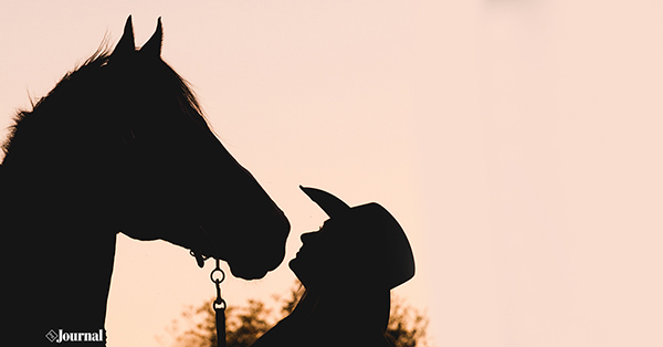 APHA Show in Conjunction With Houston Livestock Show Cancelled