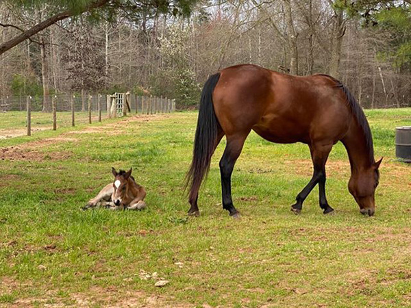 EC Photo of the Day- New Beginnings