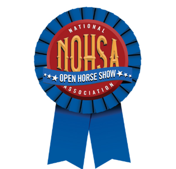 NSBA Announces Partnership With NOHSA