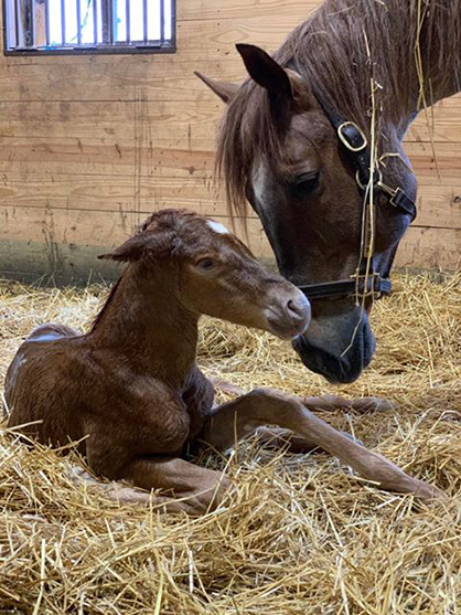 EC Photo of the Day- Mommy and Me Time