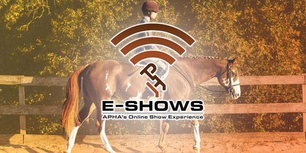 APHA Announces E-Shows, Virtual Showing Experience to Gain Judge Feedback