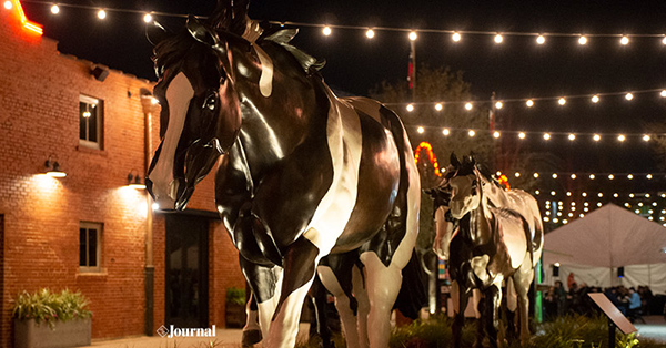 APHA’s New Official Headquarters Celebrates With Grand Opening in Ft Worth Stockyards