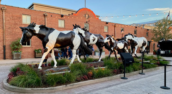 “Do Right By The Horse”- 2020 APHA National Convention Recap