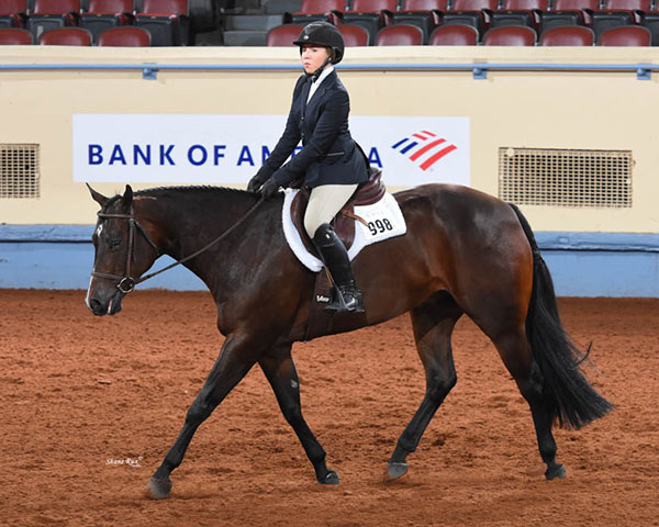 AQHA Congratulates 2019 Show Leaders