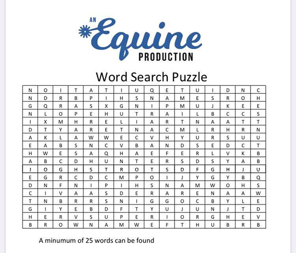 Horse Themed Word Search Fun