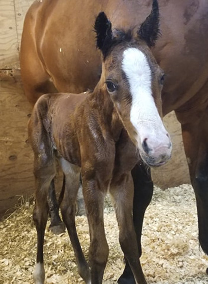 EC Photo of the Day- One Hour Old