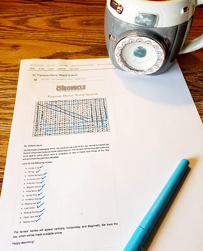 EC Famous Horse Word Search Key