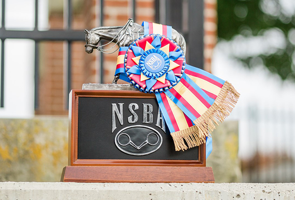 NSBA Offers Relief During COVID-19: World Show Qualifying Dropped; Registration Special