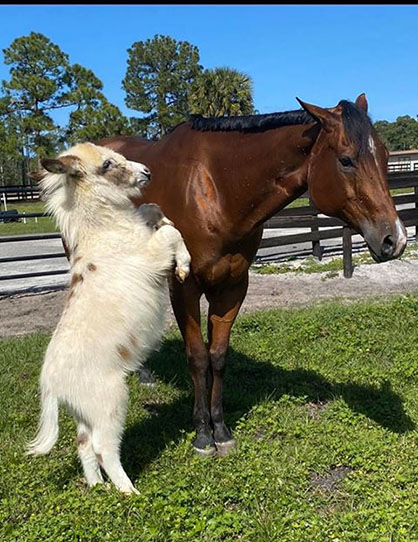 EC Photo of the Day- Very Best of Friends!