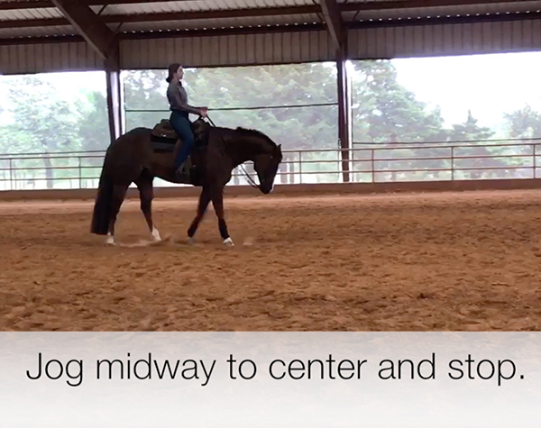 EC TV- COVID-19 Schooling Survival Guide- Horsemanship Video Instruction