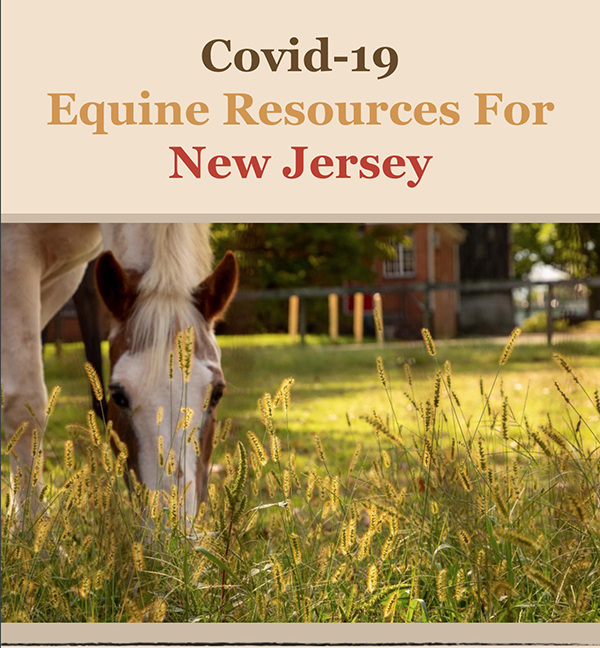 COVID-19 Equine Resources Platform